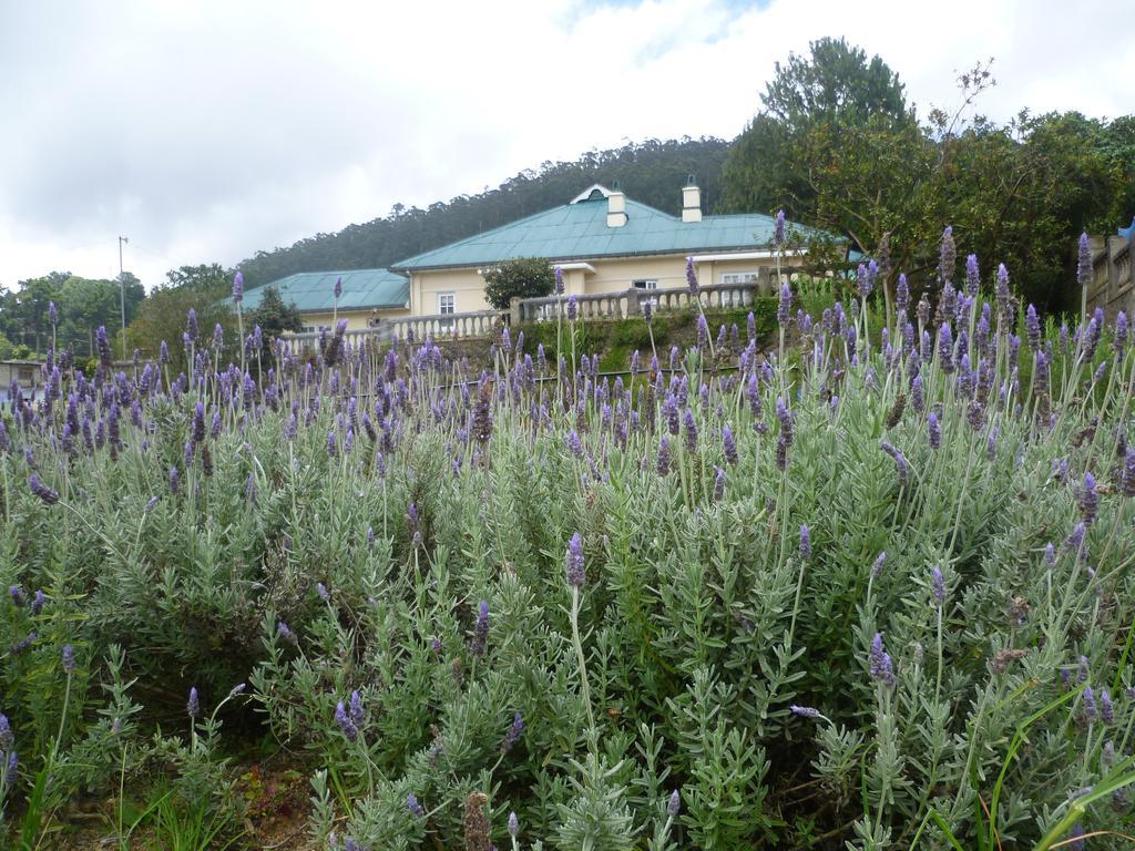 Senani Colonial Holiday Bungalow Nuwara Eliya Room photo